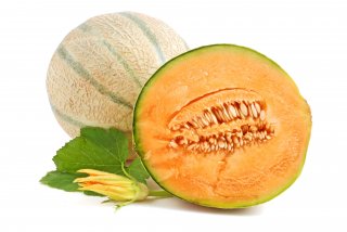 Zuckermelone