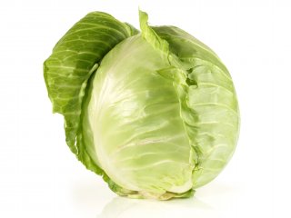 Kraut