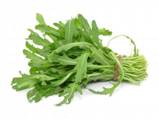 Ruccola