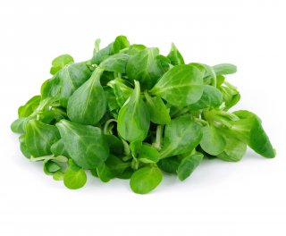 Vogerlsalat